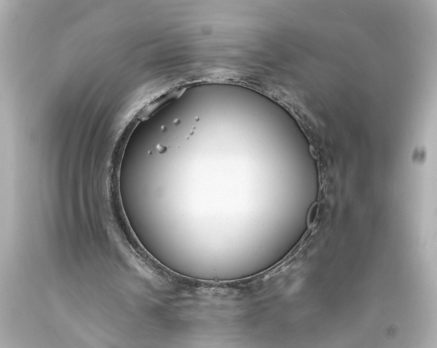 X0000093570242200710291046