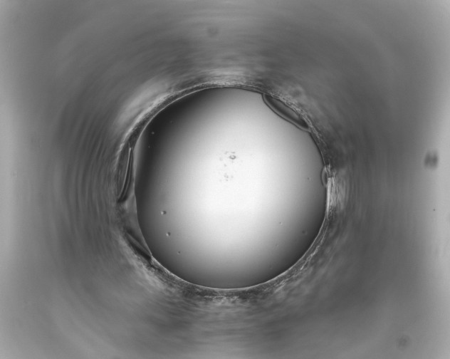 X0000093570243200710291046