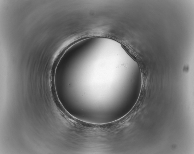 X0000093570244200710291046