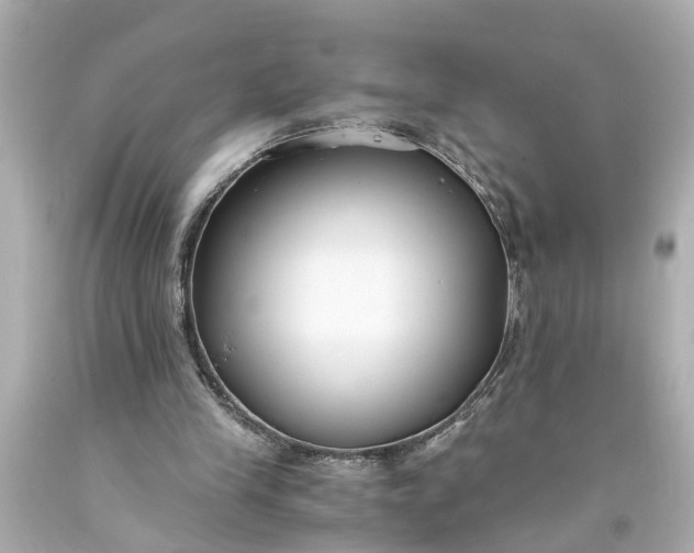 X0000093570245200710291046
