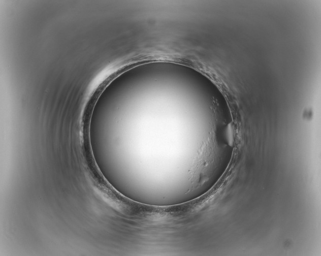 X0000093570246200710291046