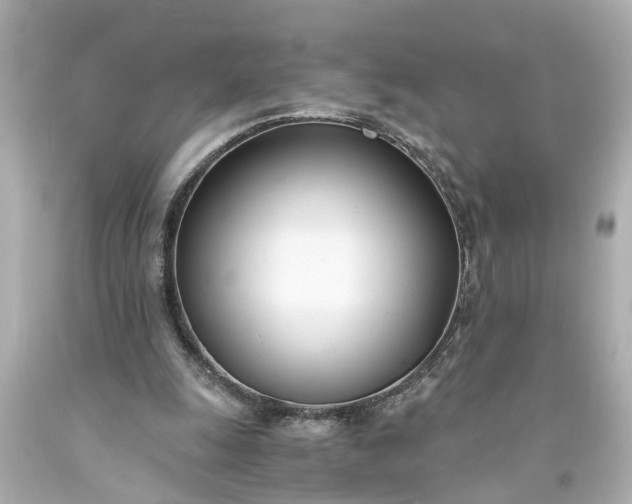 X0000093570247200710291046