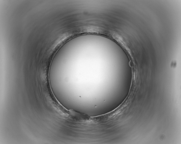 X0000093570249200710291046