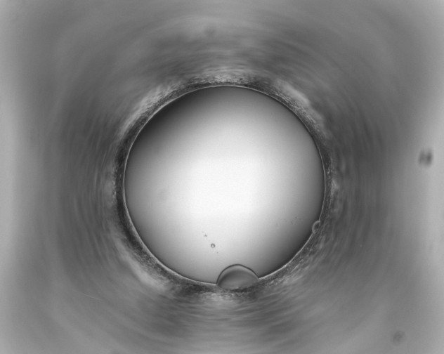 X0000093570250200710291046