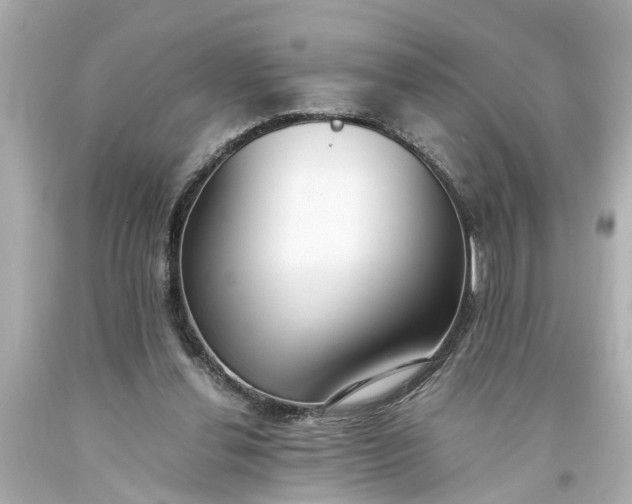 X0000093570252200710291046
