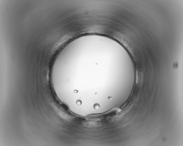 X0000093570253200710291046