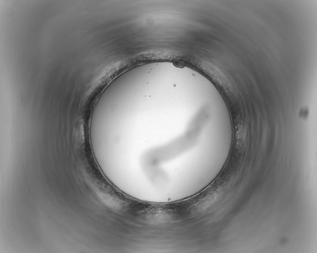 X0000093570254200710291046