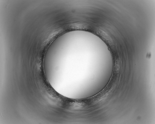 X0000093570255200710291046