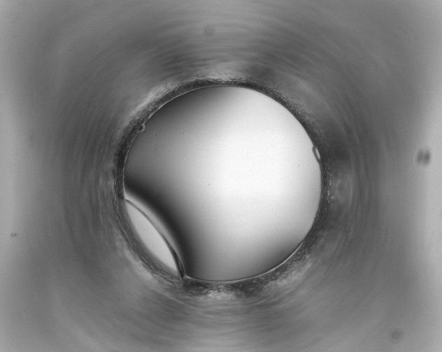 X0000093570256200710291046