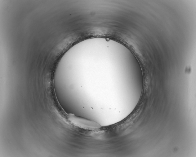 X0000093570257200710291046