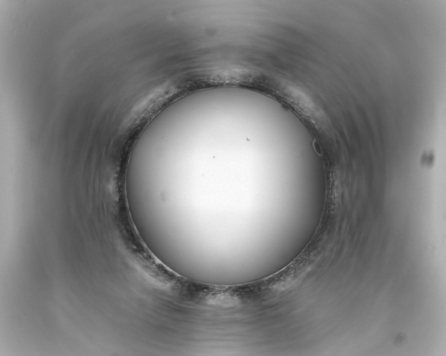 X0000093570258200710291046