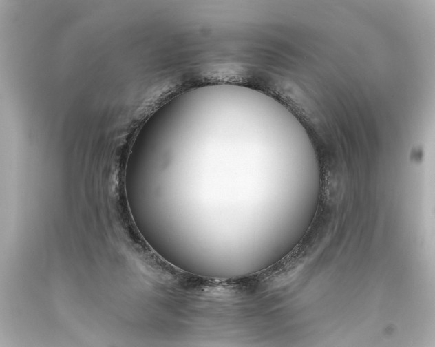 X0000093570259200710291046