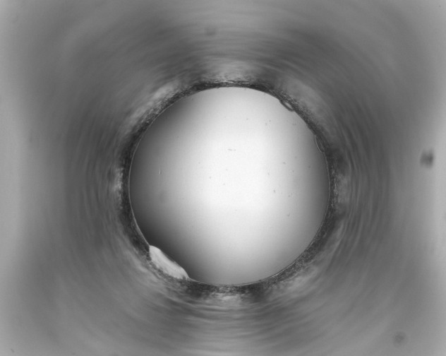 X0000093570260200710291046