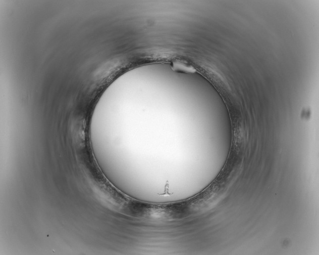 X0000093570264200710291047