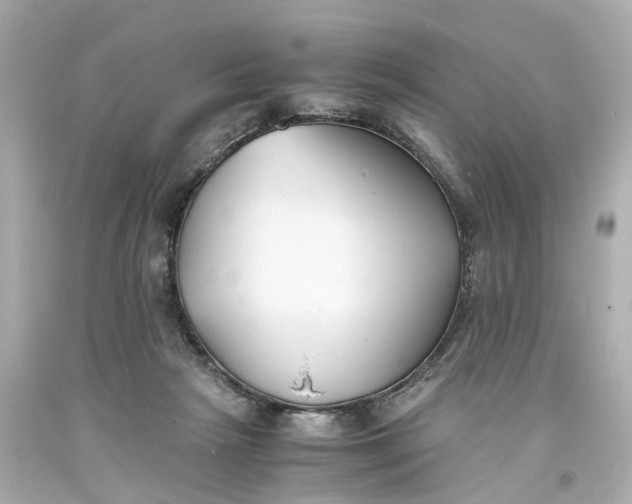 X0000093570265200710291047