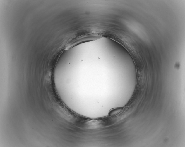 X0000093570269200710291047