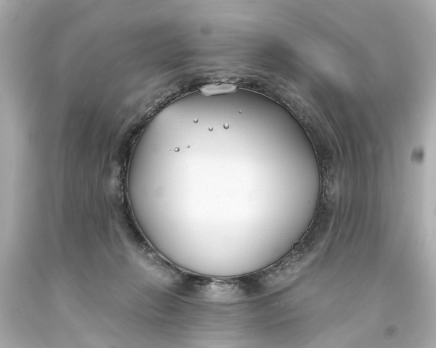 X0000093570270200710291047
