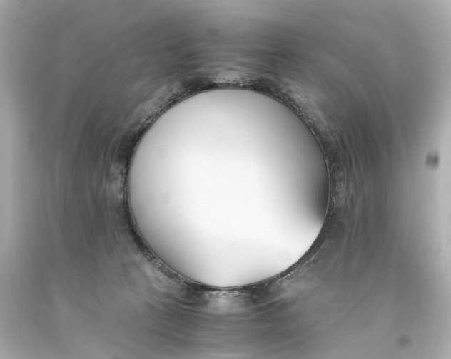 X0000093570273200710291047