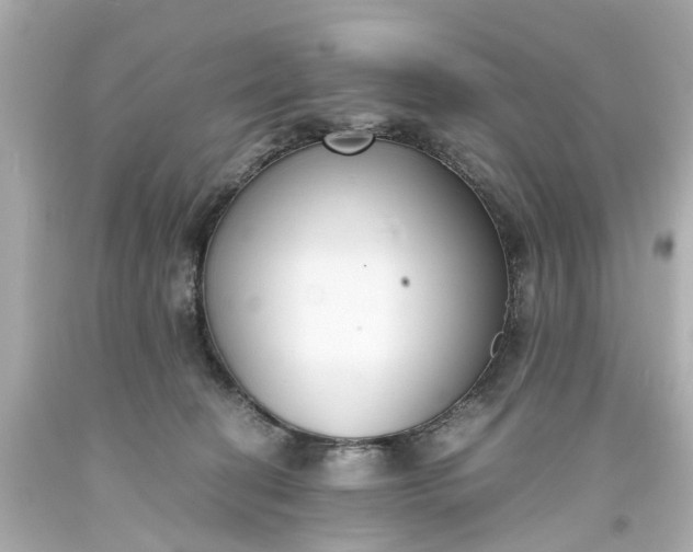 X0000093570274200710291047