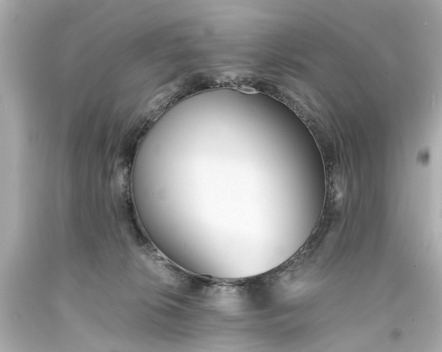 X0000093570276200710291047