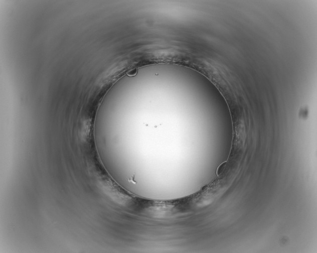 X0000093570278200710291047