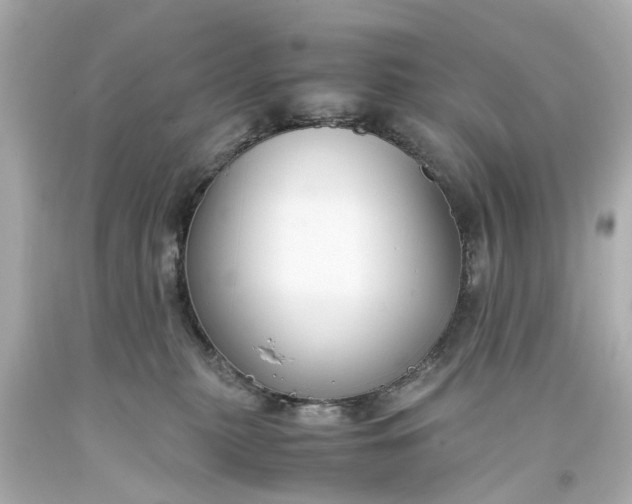 X0000093570279200710291047