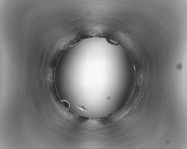 X0000093570280200710291047