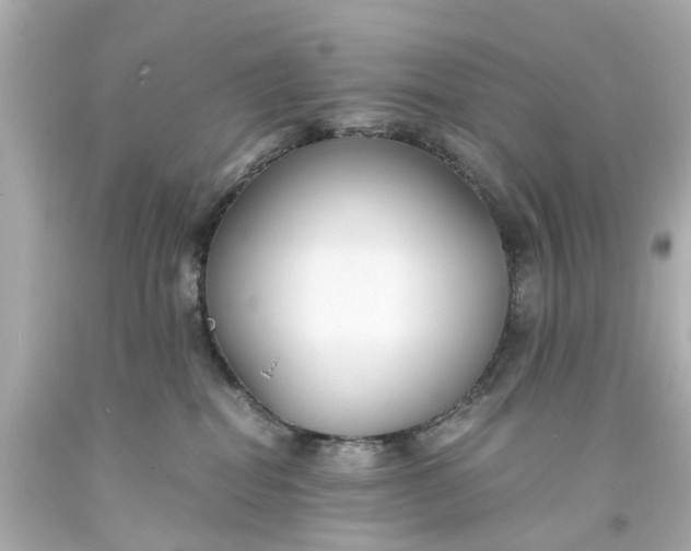 X0000093570282200710291047
