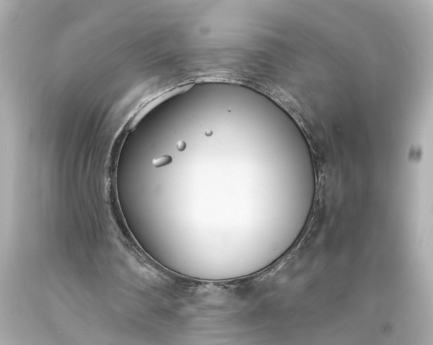 X0000093570290200710291046