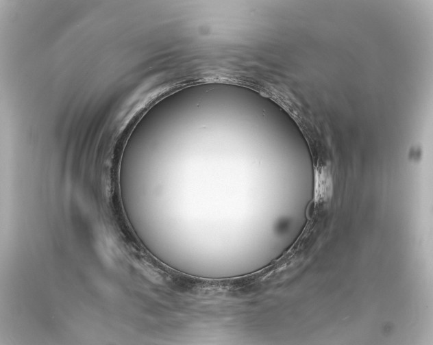 X0000093570291200710291046