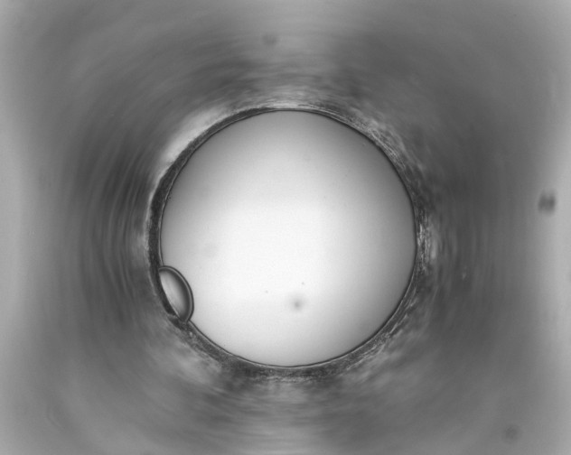 X0000093570292200710291046