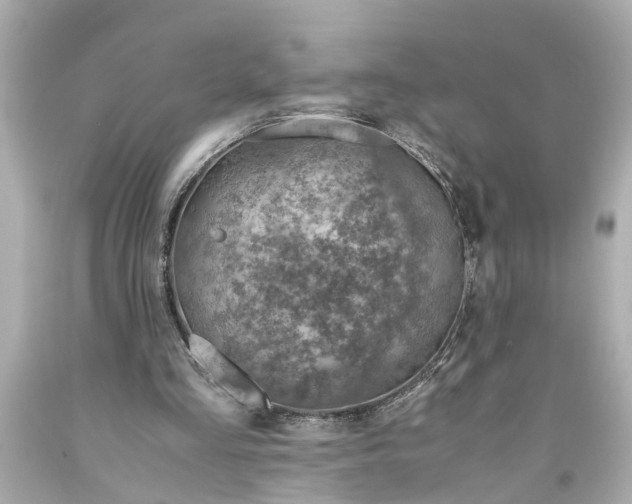 X0000093570293200710291046