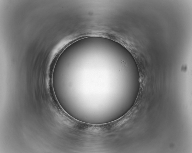 X0000093570294200710291046
