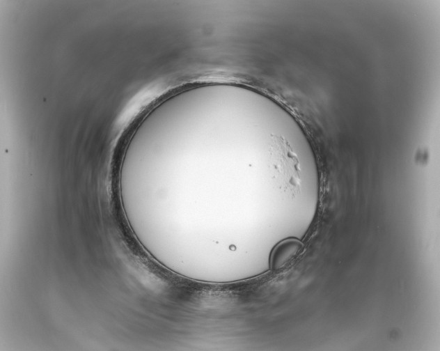 X0000093570296200710291046