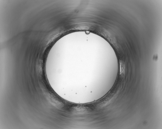X0000093570300200710291046