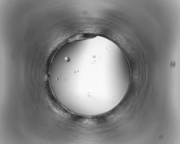 X0000093570303200710291046