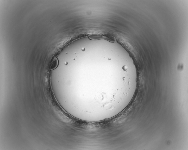 X0000093570305200710291046