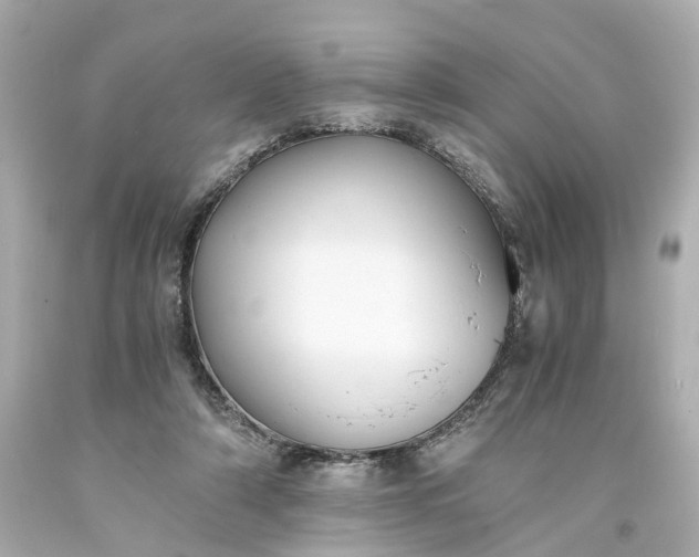 X0000093570306200710291046