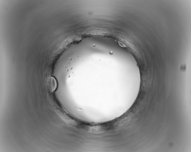 X0000093570309200710291046