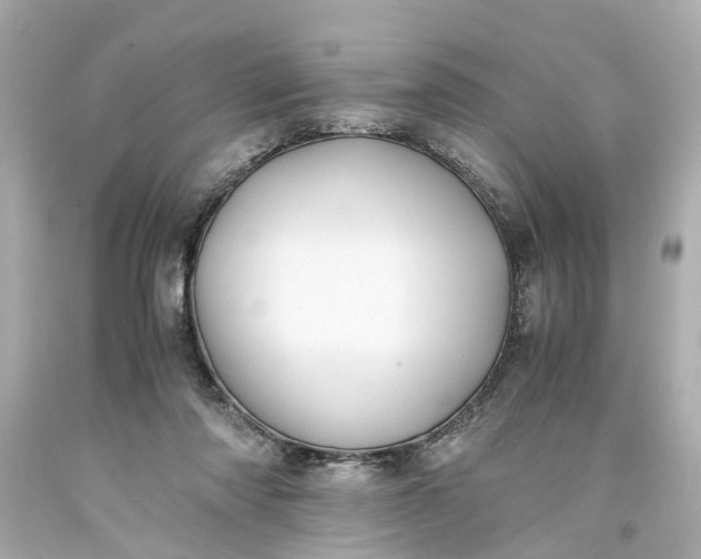 X0000093570310200710291046