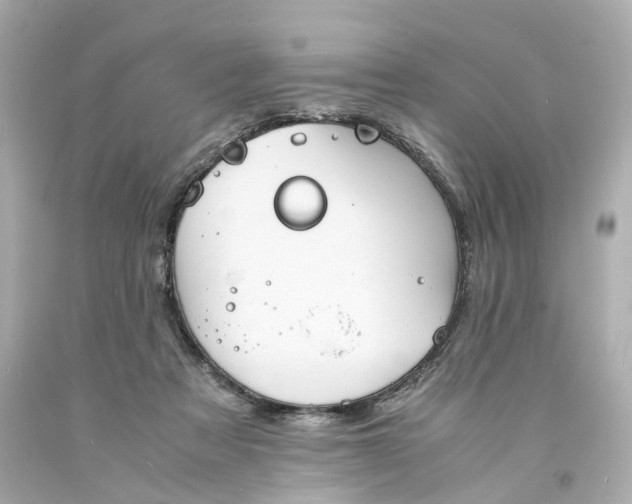 X0000093570313200710291046