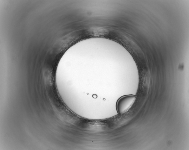 X0000093570316200710291046