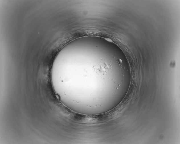 X0000093570319200710291046