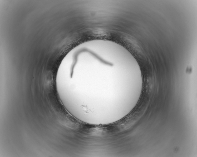 X0000093570320200710291046