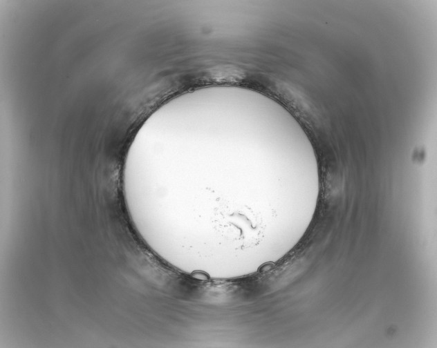 X0000093570321200710291046