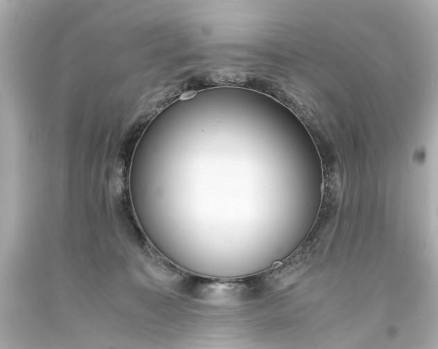 X0000093570323200710291046