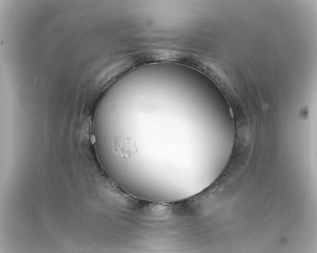 X0000093570325200710291046