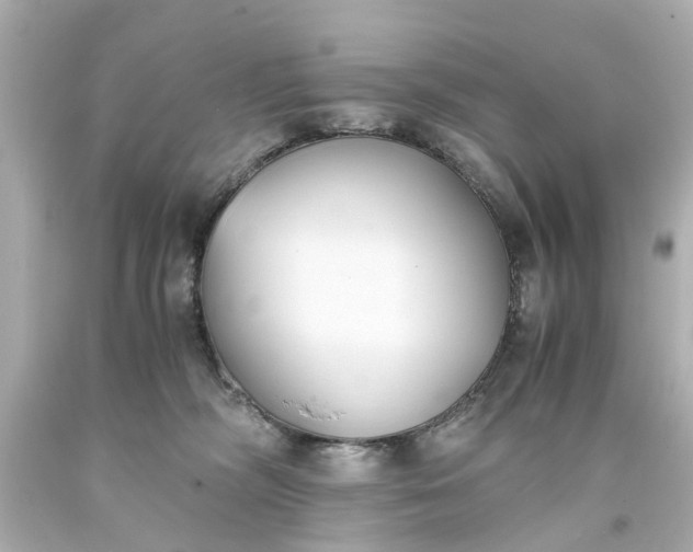 X0000093570326200710291046