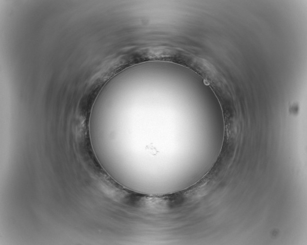 X0000093570327200710291046