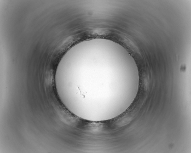 X0000093570328200710291046